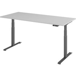 Bach sit-stand desk hammerer vlxk6516 5 g light gray wood, metal