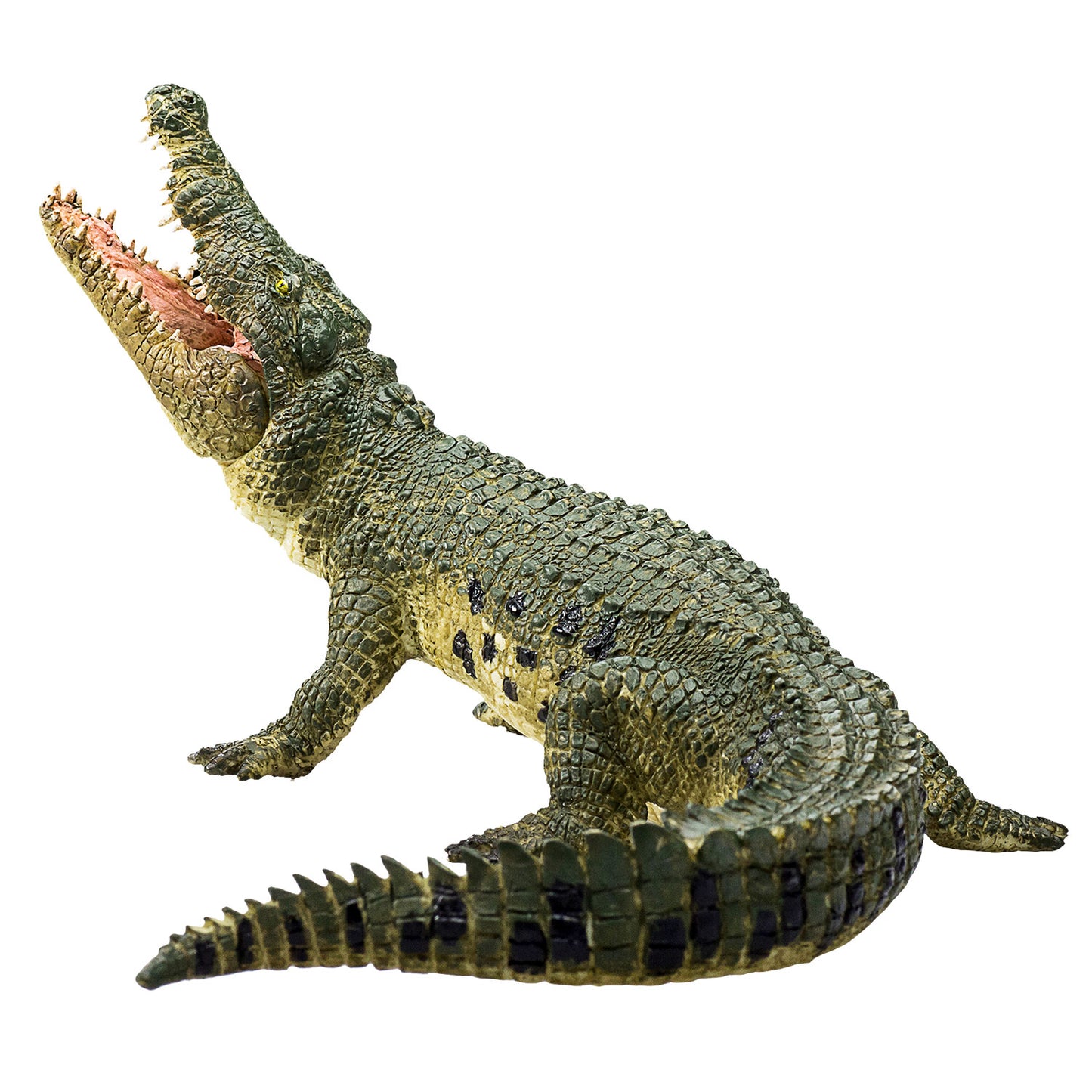 Crocodile de vida silvestre Mojo con mandíbula en movimiento 387162