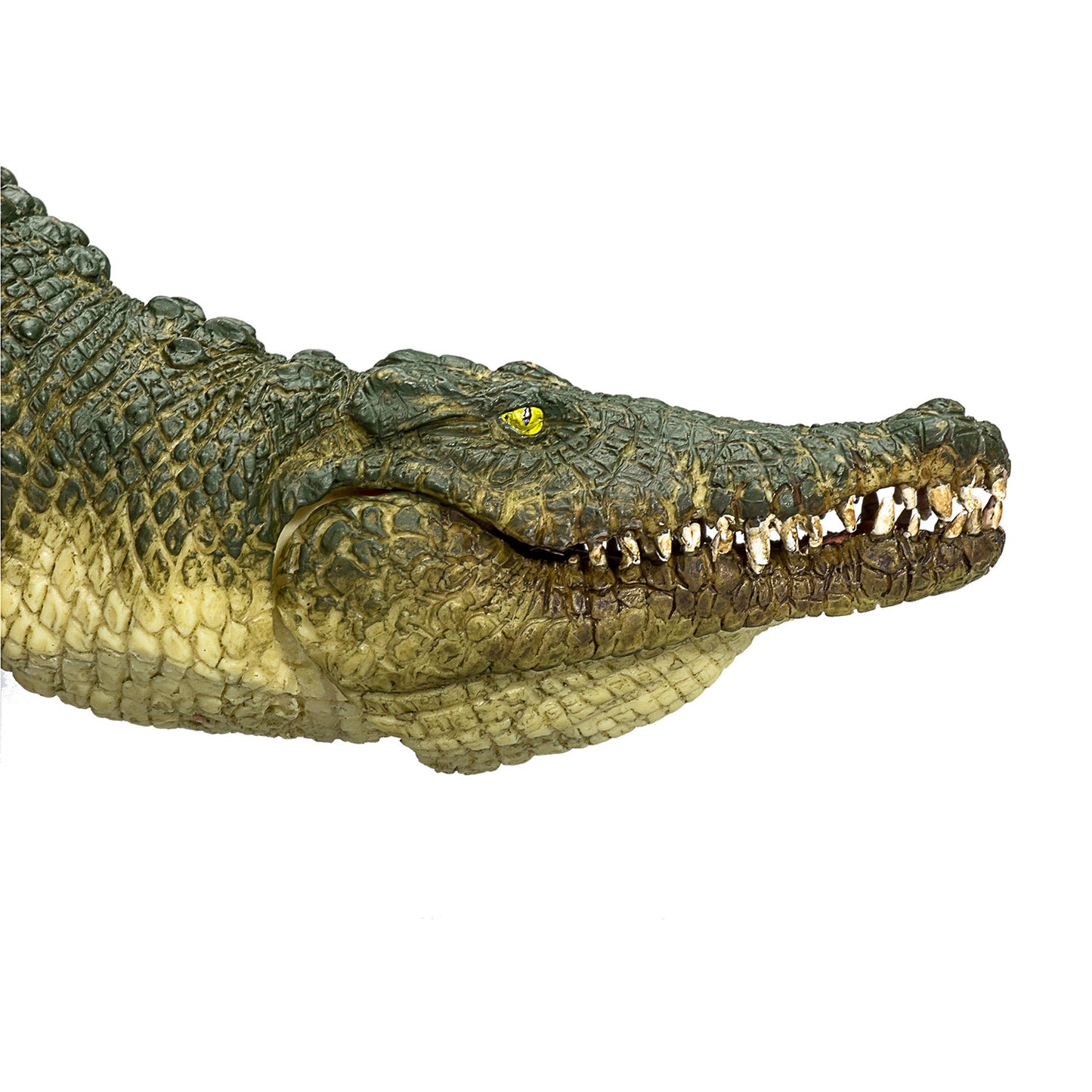 Crocodile de vida silvestre Mojo con mandíbula en movimiento 387162