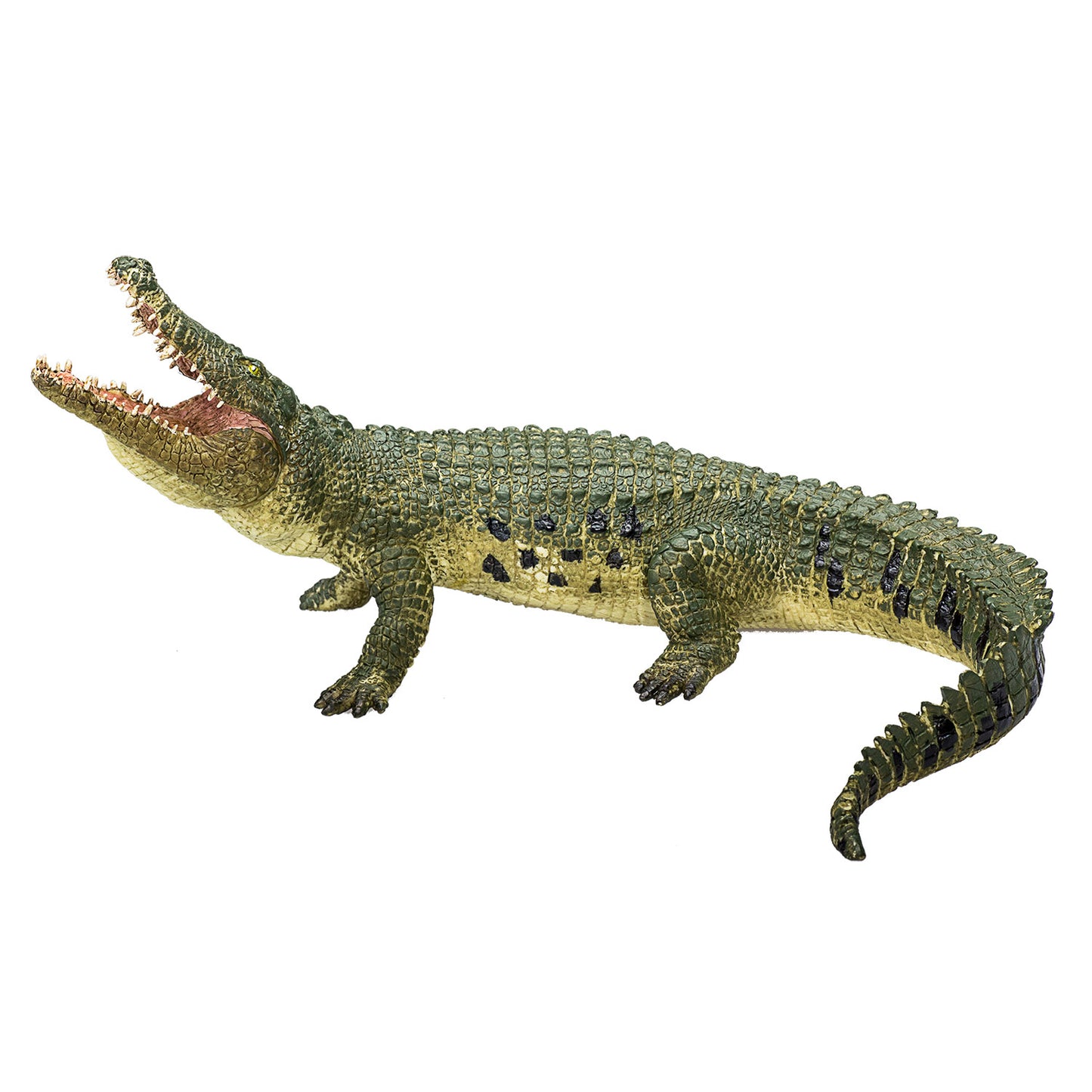Crocodile de vida silvestre Mojo con mandíbula en movimiento 387162