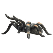 Mojo wildlife rode tarantula - 387213 - afbeelding 5