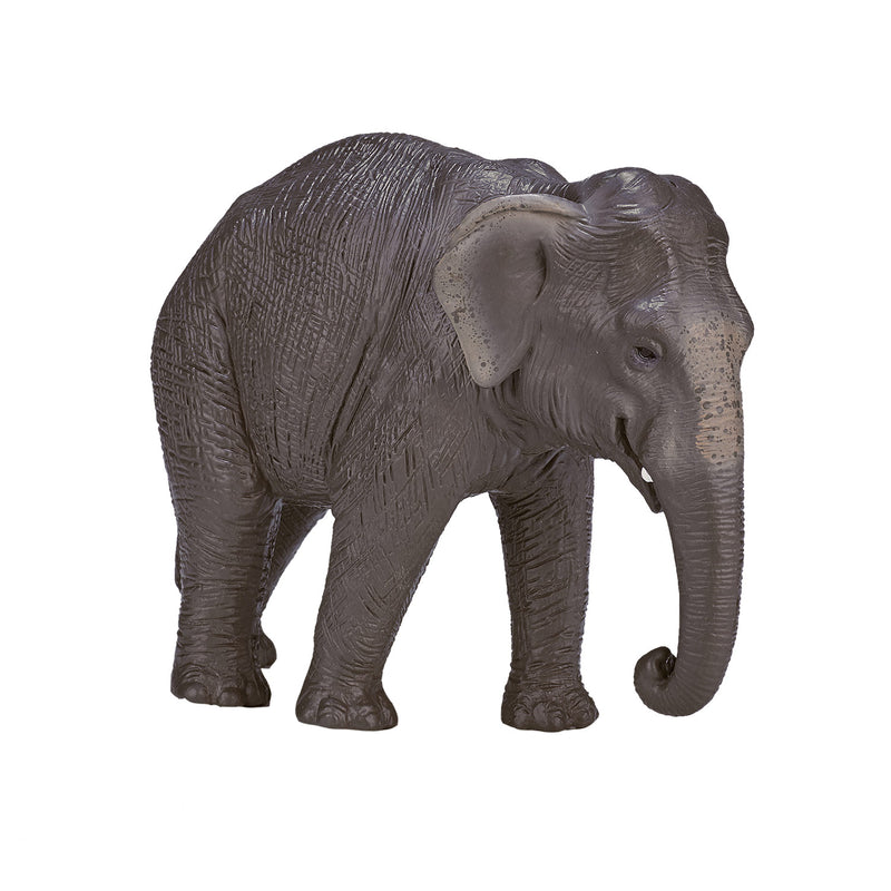 Mojo Wildlife Elephant asiático 387266