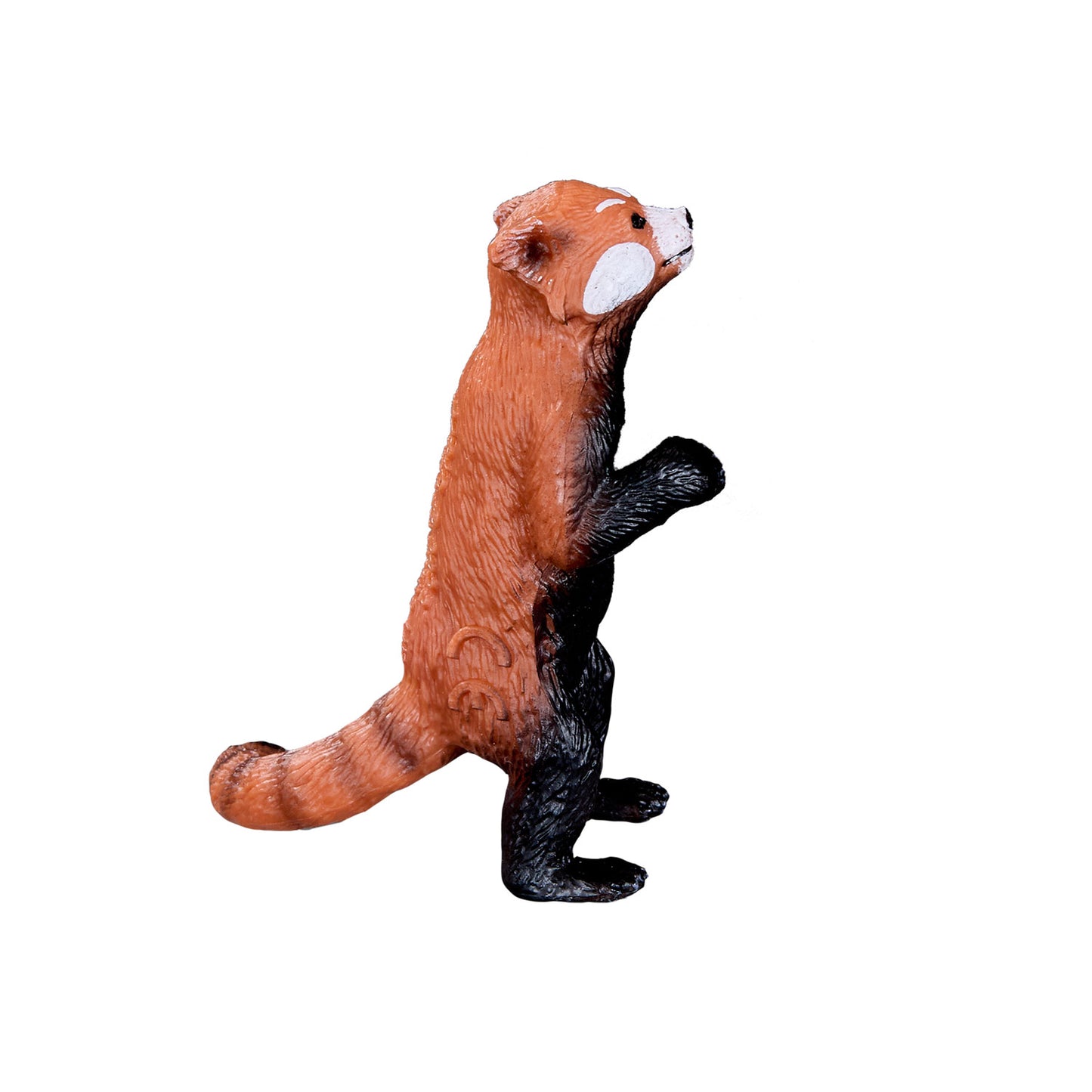 Mojo Wildlife ha guidato Panda 387376