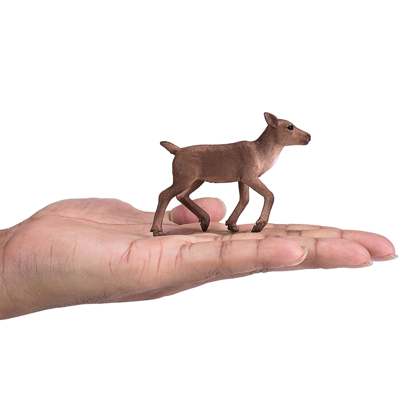 Mojo Wildlife Reindeer Barr 387188