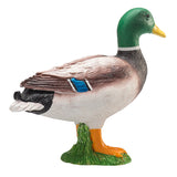 Mojo farmland wilde eend - 387127 - afbeelding 3