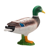 Mojo farmland wilde eend - 387127 - afbeelding 4