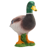 Mojo farmland wilde eend - 387127 - afbeelding 5