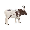 Mojo Farmland Texas Longhorn Bull 387222