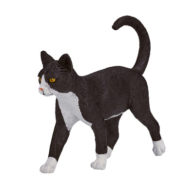 Mojo Tierras de cultivo kat 387200
