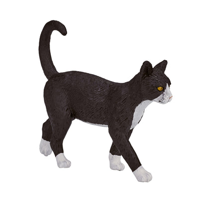 Mojo Tierras de cultivo kat 387200