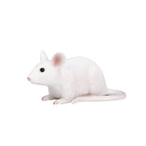 Mojo farmland muis - 387235 - afbeelding 1