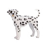 Mojo farmland dalmatiër - 387248