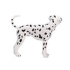 Mojo farmland dalmatiër - 387248