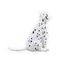 Mojo farmland dalmatische puppy - 387249