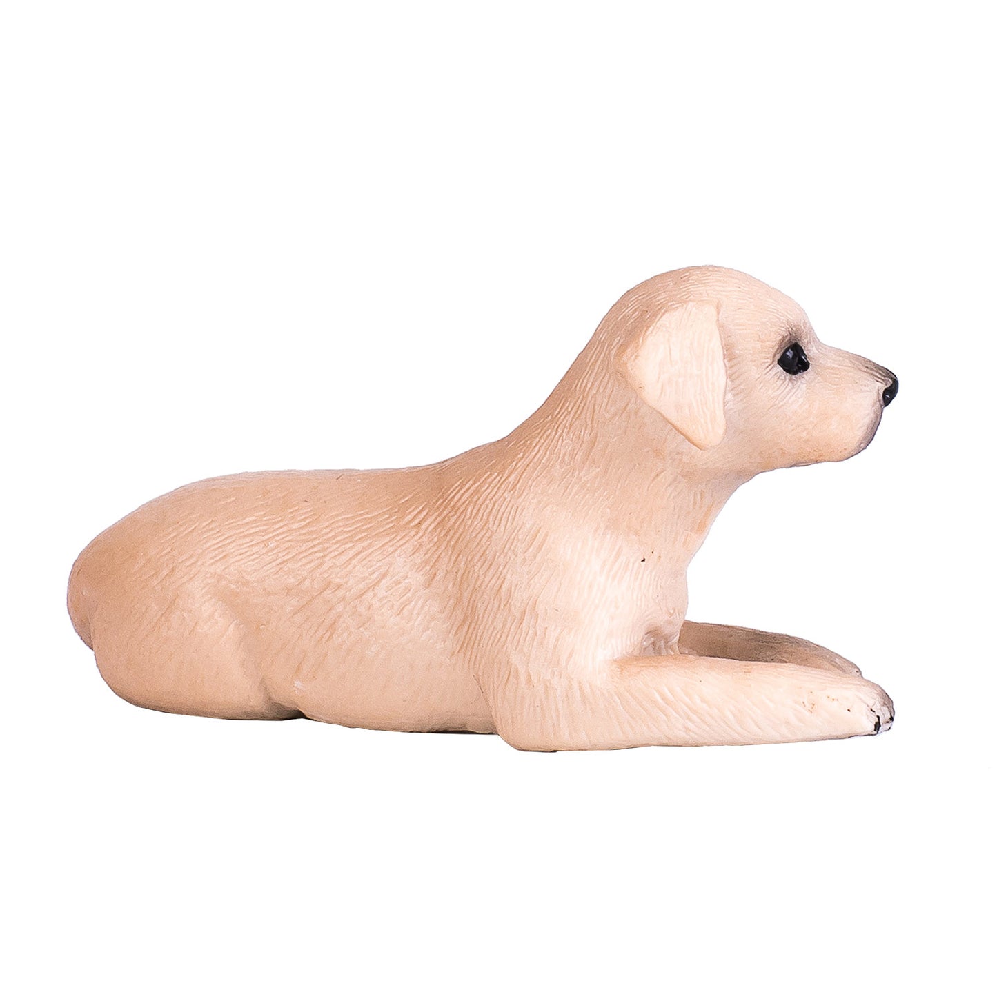 Mojo farmland labrador puppy - 387272