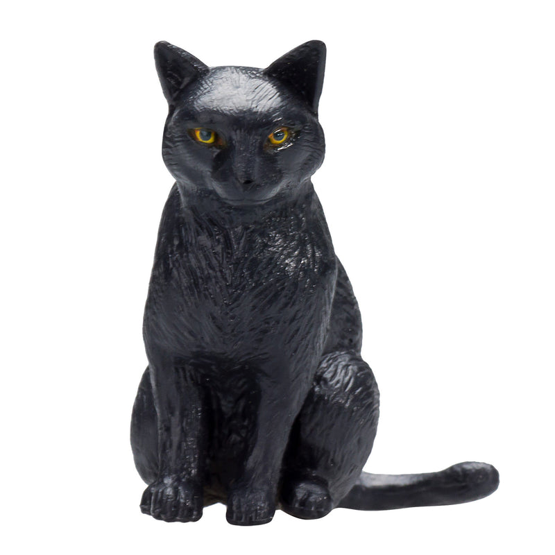 Mojo Farmland seduto gatto nero 387372