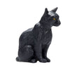 Mojo Farmland seduto gatto nero 387372