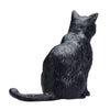 Mojo Farmland seduto gatto nero 387372