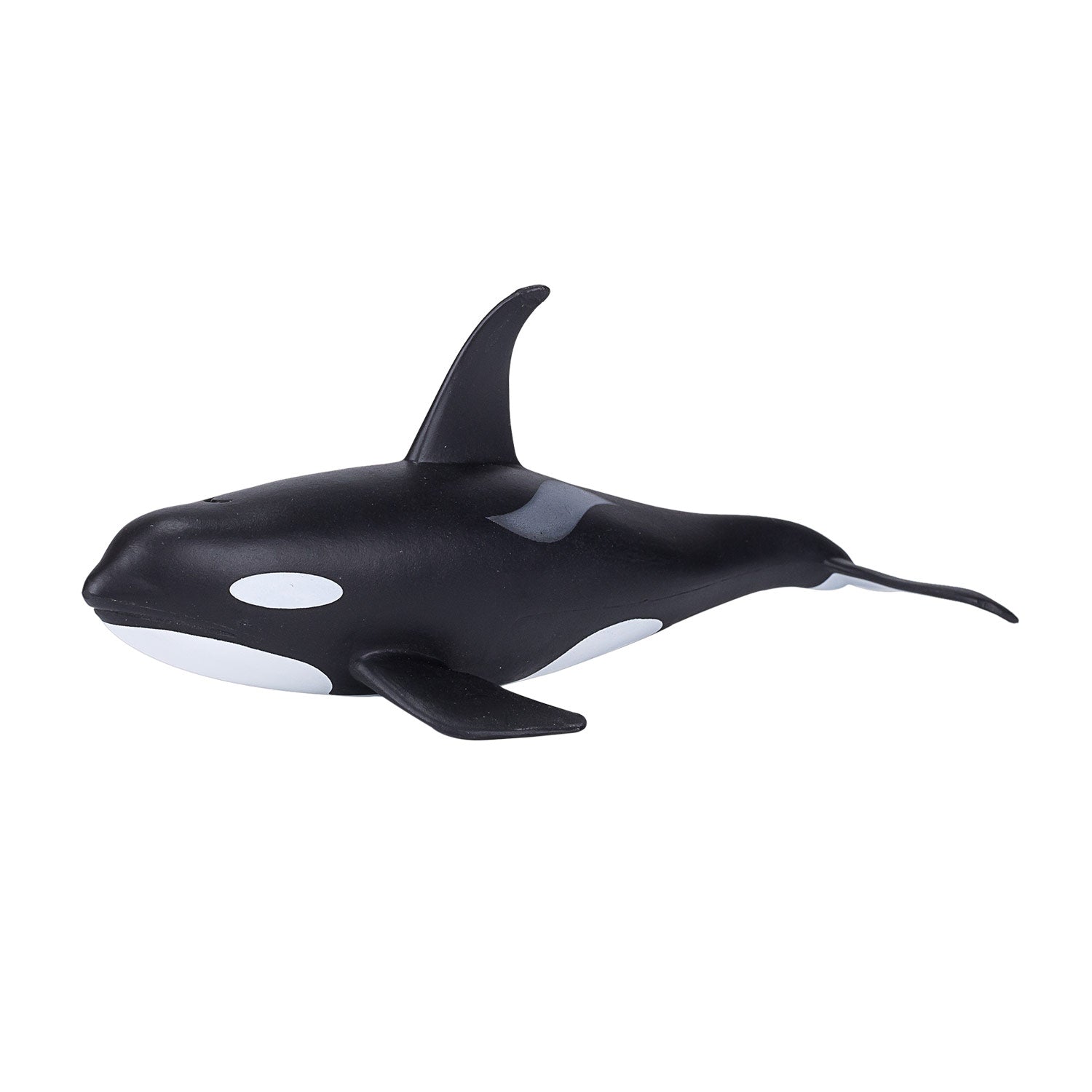 MOJO SEALIFE MASCHIO ORKA 387114