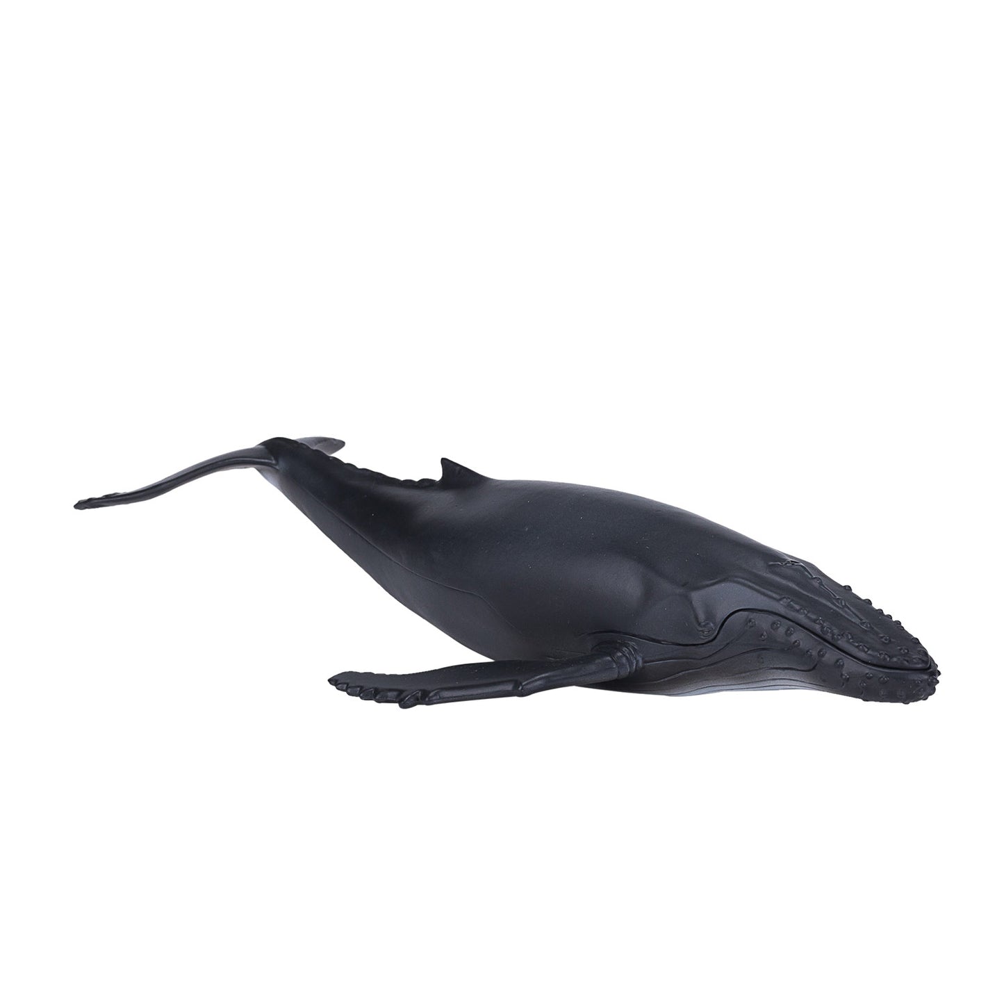 Mojo SEALIFE BULTRUG 387119