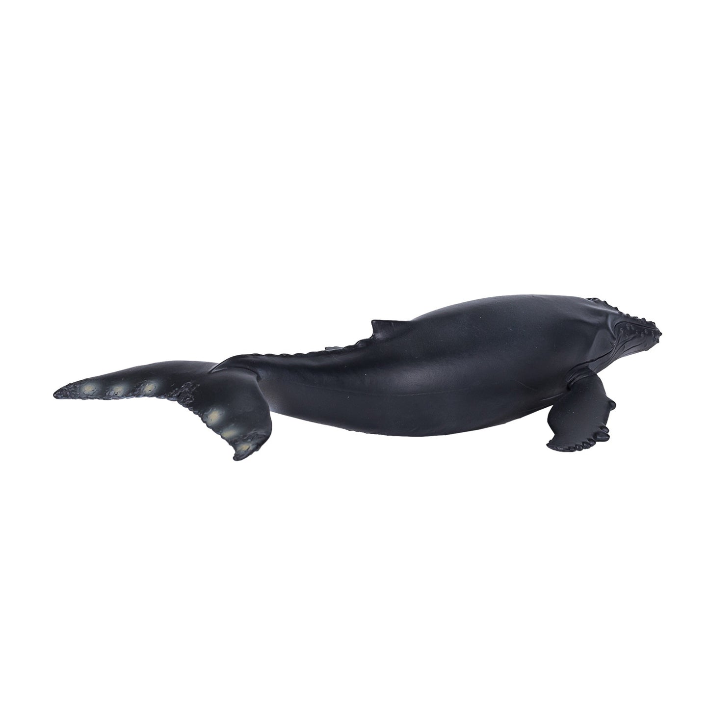 Mojo SEALIFE BULTRUG 387119