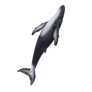Mojo SEALIFE BULTRUG 387119 - afbeelding 5