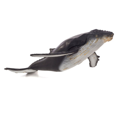MOJO SEALIFE BULTRUGWALVIS grande 387277