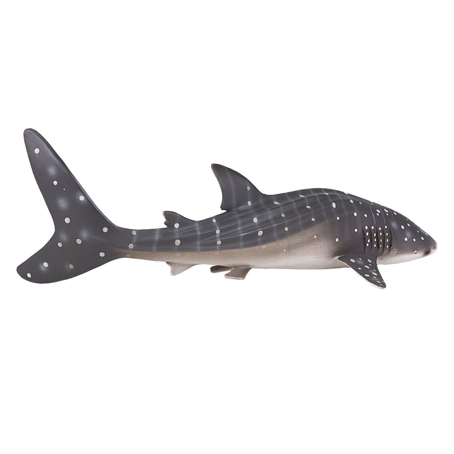 MOJO SEALIFE WALVISHAAI 387278