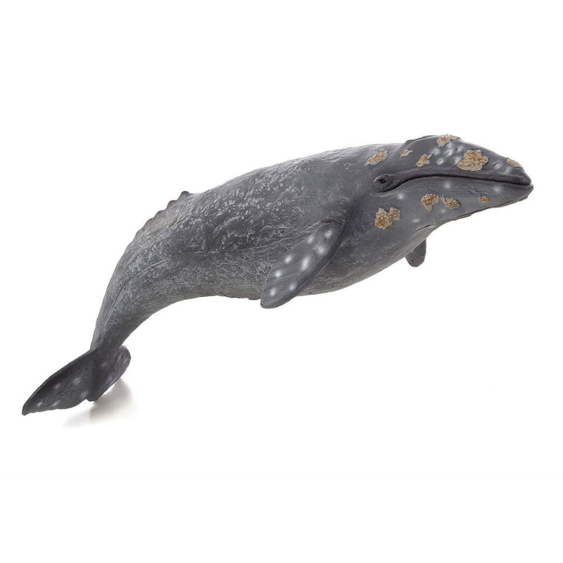 MOJO SEALIFE GREE BALE 387280