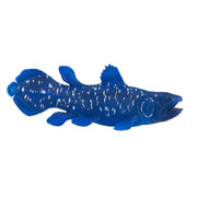Mojo Sealife Coelacanth 381050 - afbeelding 4