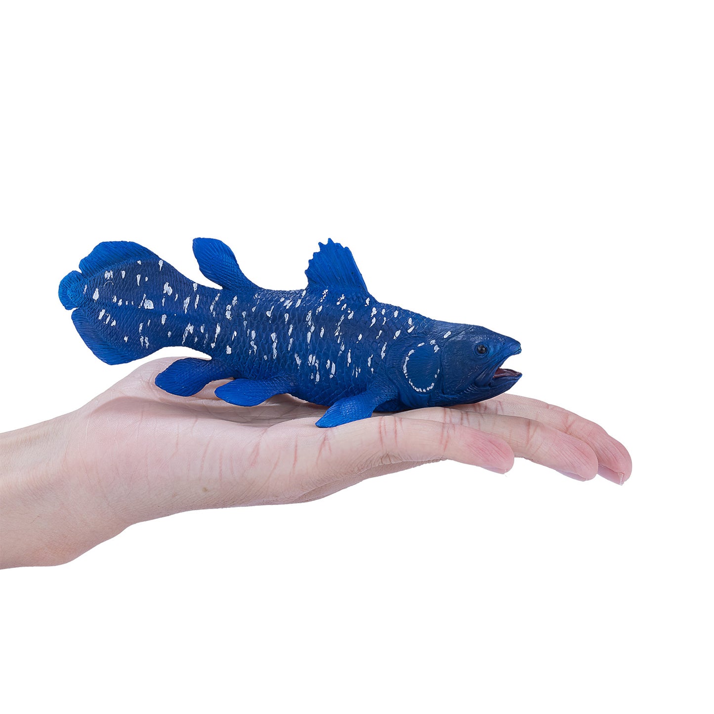 Mojo Sealife Coelacanth 381050