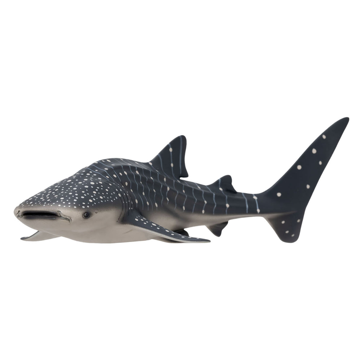 Mojo Sealife Walvishai 381038
