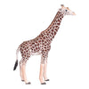 Mojo Wildlife Wild Animals Play Set, 6dlg. 380026