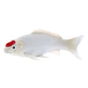 Mojo SEALIFE KOI KARPER - TANCO KOI - 381101