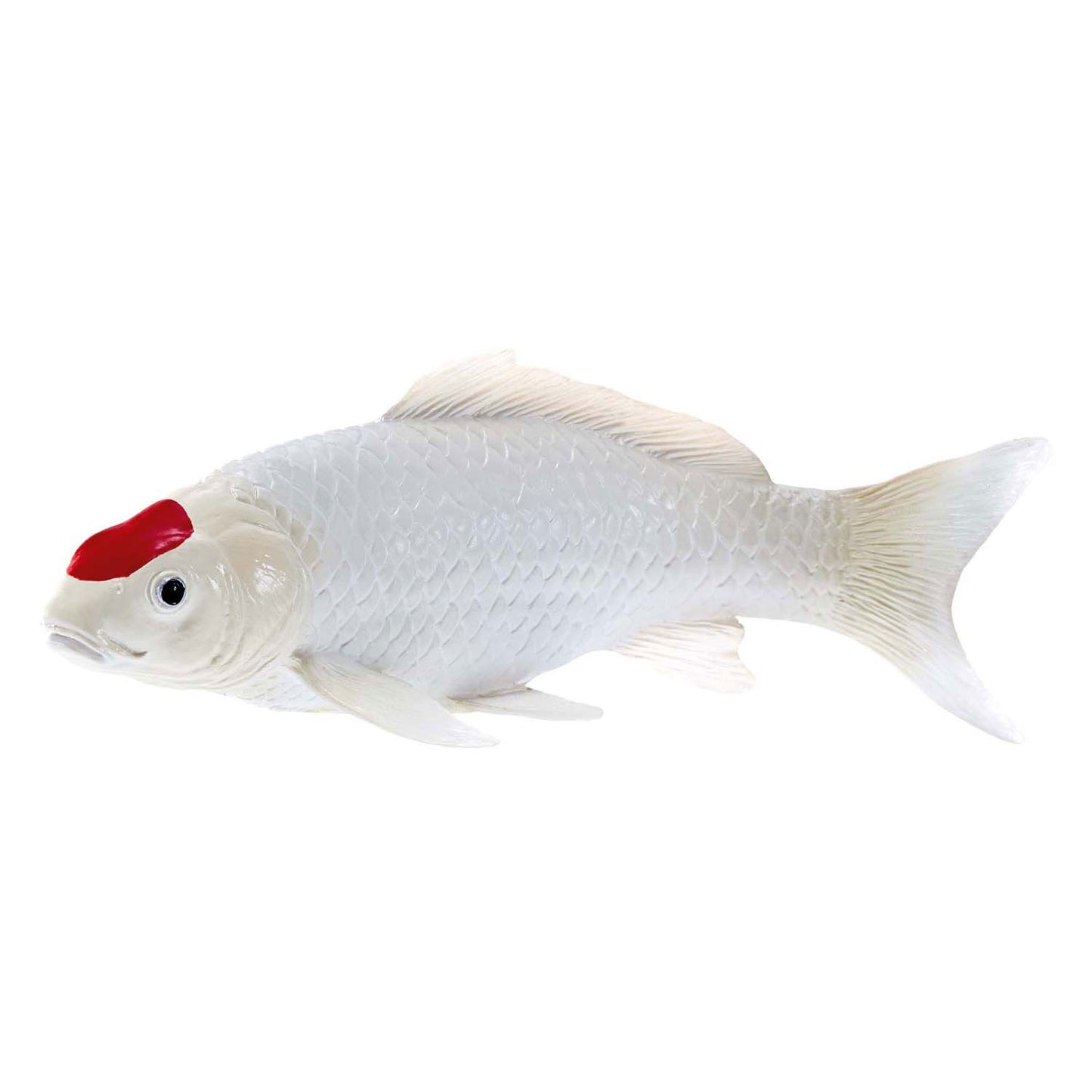 Mojo SEALIFE KOI KARPER - TANCO KOI - 381101