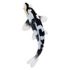MOJO SEALIFE KOI KARPER - SHIRO UTSURI KOI - 381102