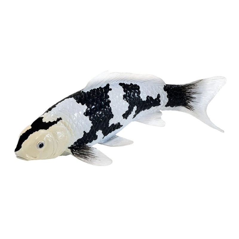 Collezione Mojo koi - shiro utsuri koi bianco e nero 381120