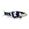 Collezione Mojo koi - shiro utsuri koi bianco e nero 381120