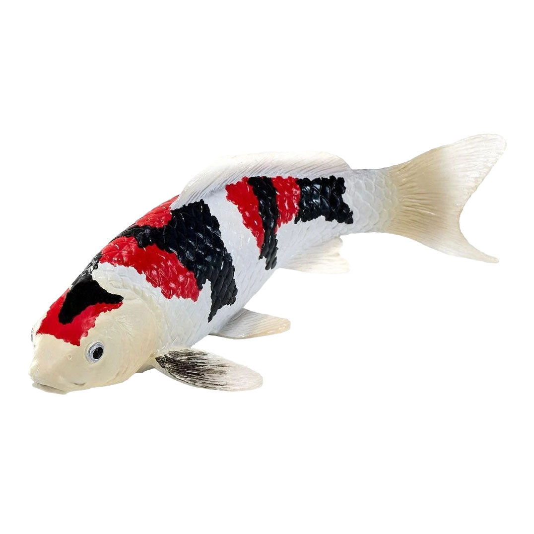 Collezione Mojo koi - showa sanshoku koi tricolore 381121