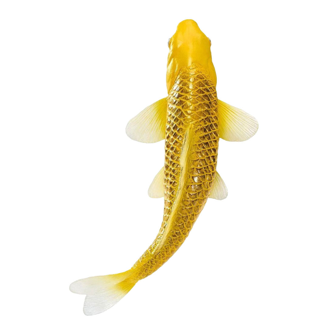 Collezione Mojo Koi - Kin Matsuba Koi Oro 381123