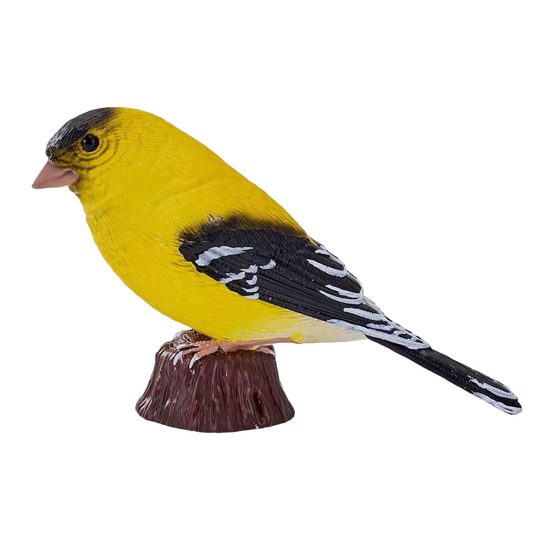 Mojo Garden Birds Cardellino americano 381125
