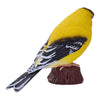 Mojo Garden Birds Cardellino americano 381125
