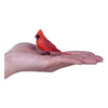 Mojo Garden Birds Rosso Cardinale 381131