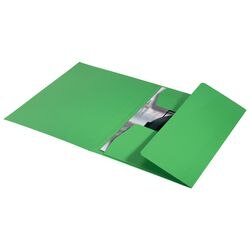Cartella 3 lembi leitz 39060055 verde 100 g