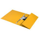 Leitz 3-fold folder 39060015 yellow 100 g