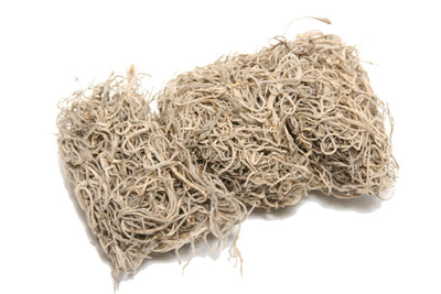 HBx natural living moss tillandsia 80gr natural
