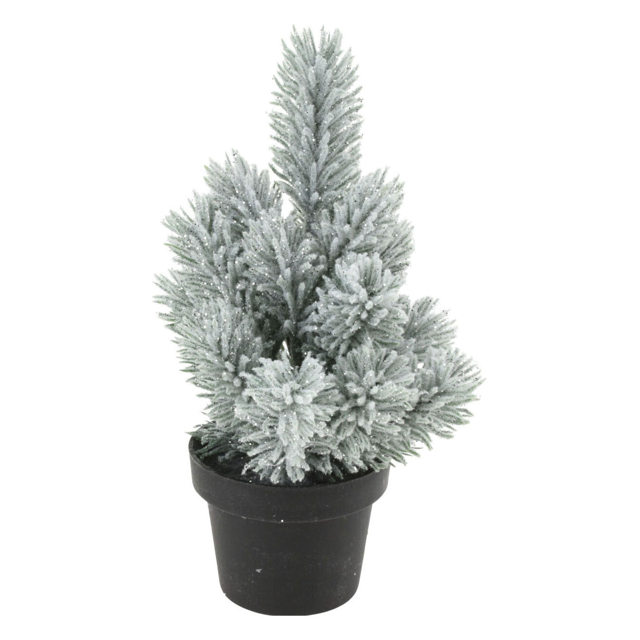Denneboom in vaso, 33 cm