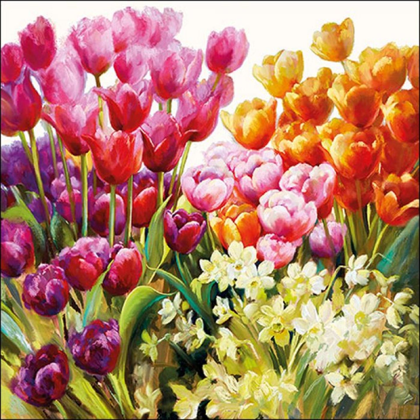 Tovagliolo Ambiente 25 cm tulipani 20 pezzi
