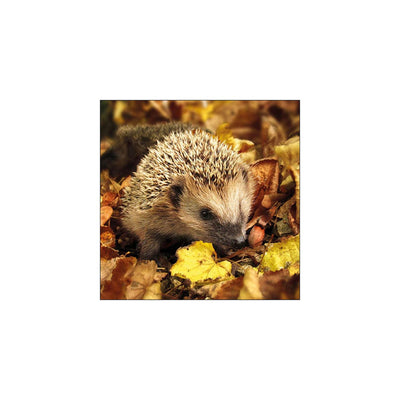 Tovaglioli Ambiente riccio 33 cm