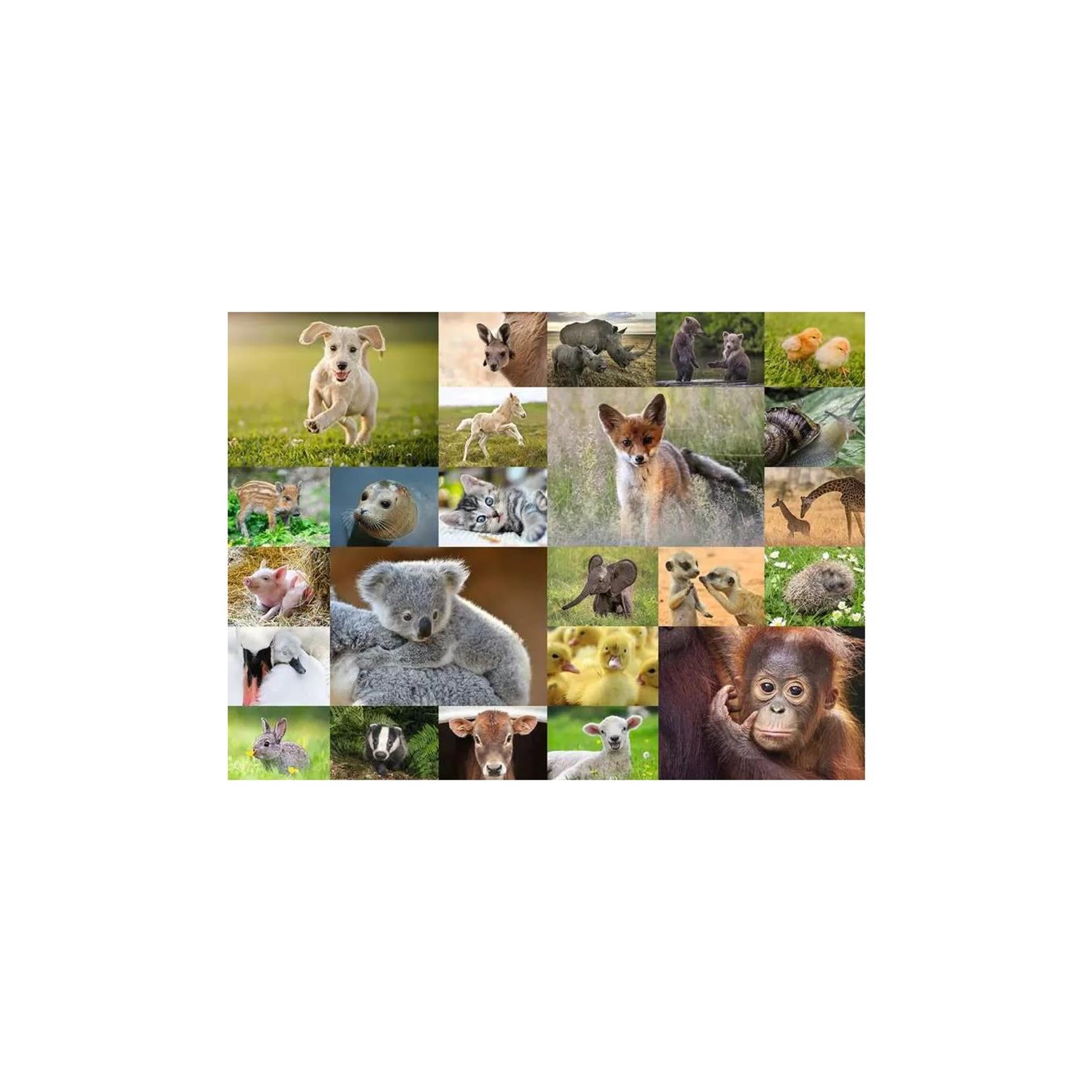 RAVENSBURGER PULLS CINETTO ANIMALI DI BAMBINI, 200 °. Xxl